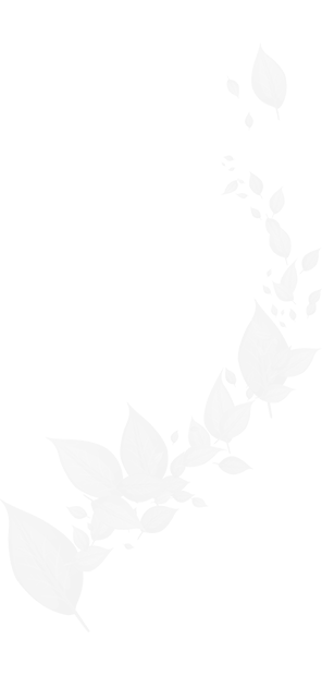 Testimonial Background