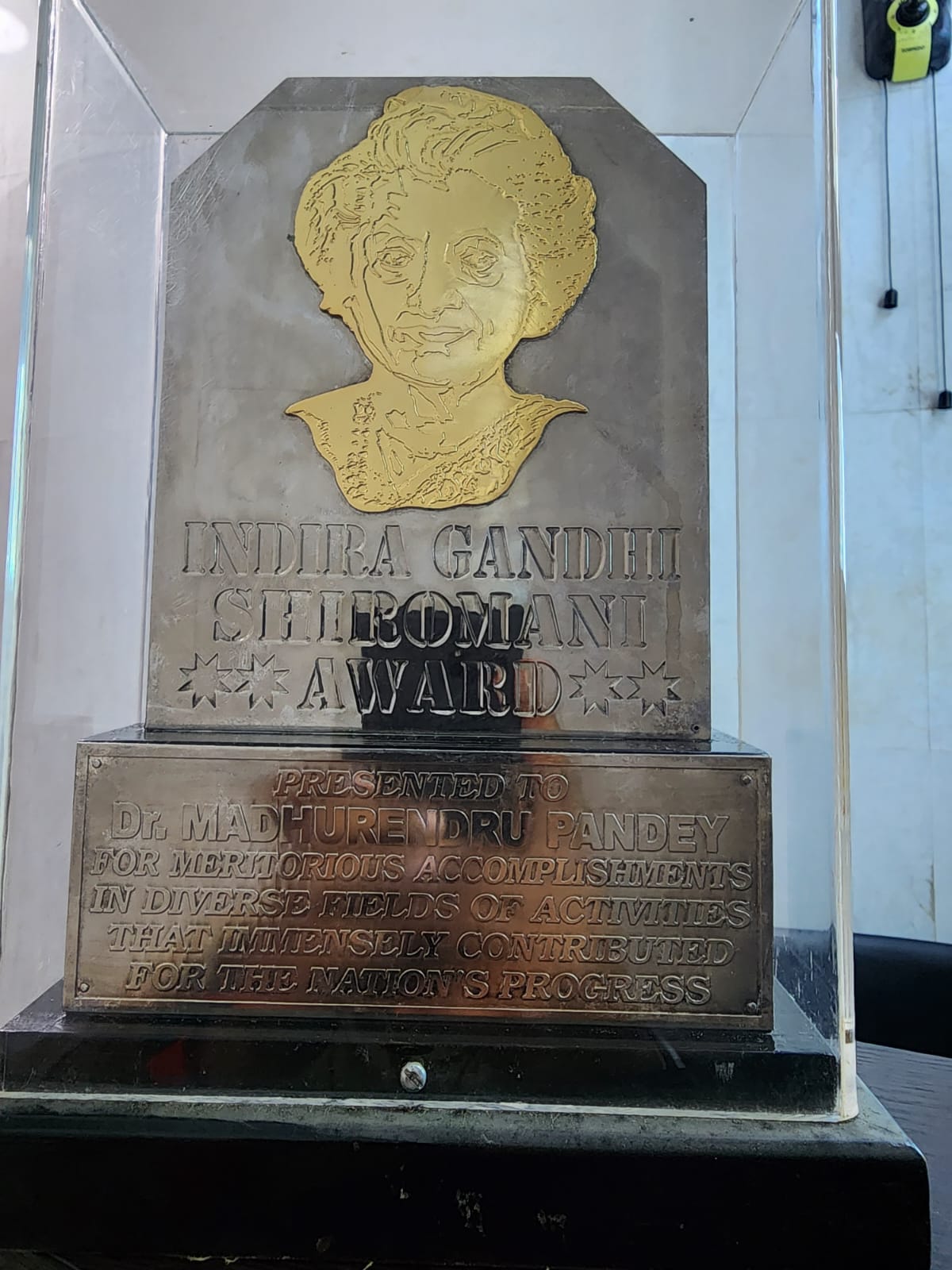 Indira Gandhi Shiromani Award Presented To Dr. Madhurendu Pandey